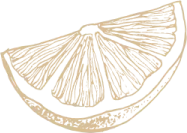 Lime wedge illustration